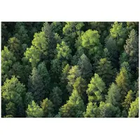 WALLARENA - Fotobehang - 400x280 cm - Fototapete met bomen en natuur voor slaapkamer en salon, vliesbehang