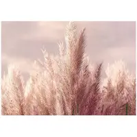 WALLARENA - Fotobehang - 250x175 cm - 3D natuur met rose tarwe voor slaapkamer en salon