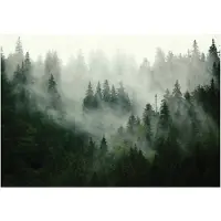 WALLARENA - Fotobehang - 200x140 cm - Flizelina wandtapijt voor slaapkamer en salon met een mistig bos