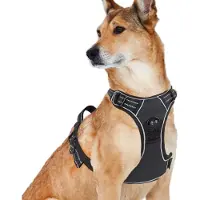 Filo Anti Trek Hondentuig Maat XL met Hondenriem - Y Tuig Hond Verstelbaar - Hondenharnas met Hondenlijn - Honden Tuigje - Leiband Hond - Hondentuigje - Extra Large - Riem