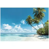 WALLARENA - Fotobehang - 150x105 cm - Strand, zee, palmen, landschap voor slaapkamer en woonkamer