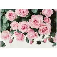 WALLARENA - Fotobehang - 200x140 cm - Roze hangende bloemen voor slaapkamer en woonkamer