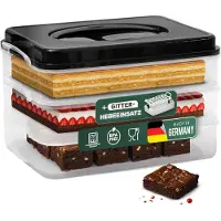 Novaliv taarttransportdoos met één niveau en deksel en inzetstuk (rechthoekig 40 x 30 cm) opbergdoos met veiligheidsslot partybox container taarttransportdoos taartcontainer