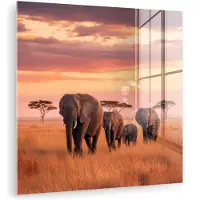 MuchoWow Glasschilderij 50x50 cm - Schilderij acrylglas - Groep olifanten - Open vlakte - Zon - Foto op glas - Muurdecoratie woonkamer - Wanddecoratie slaapkamer - Schilderijen