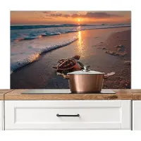 KitchenYeah Spatscherm keuken 100x65 cm - Kookplaat achterwand Schildpad - strand - Zonsondergang - Muurbeschermer - Spatwand fornuis - Hoogwaardig aluminium