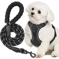 Filo Y-Tuig Anti Trek S met Hondenriem - Reflecterend Hondentuig Kleine Hond - Hondenharnas Puppy - Hondentuigje - Harnas - Honden Tuigje - Hondenlijn - Leiband