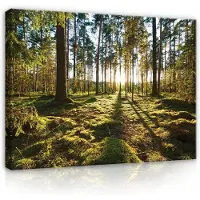 WALLARENA - Canvas schilderij - 120x80 cm - afbeelding van een bos met bomen in de natuur