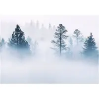 WALLARENA - Fotobehang - 350x250 cm - Fototapet met een mistig bos en bomen, geschikt voor slaapkamer en salon, vliesbehang