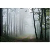 WALLARENA - Fotobehang - 300x210 cm - natuur landschap fototapet voor slaapkamer en salon van vliesbehang
