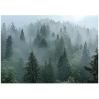 WALLARENA - Fotobehang - 350x250 cm - 3D natuur bos in de mist voor slaapkamer en woonkamer
