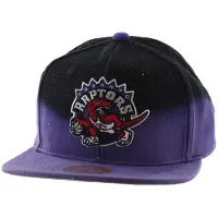 Mitchell & ness Toronto Raptors Heren Cap