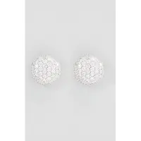 U.s. polo assn. US Polo Assn Jewellery Courtney Rhodium Oorbellen