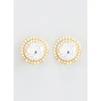 U.s. polo assn. US Polo Assn Jewellery Cristal Geelgouden Oorbellen