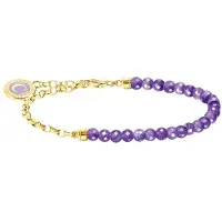 Thomas Sabo - A2130-427-13-l13v - Charm-armband - Dames - Charm Club - 13cm
