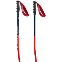Swix World Cup Pro Super-g Stokken
