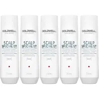 Goldwell 10x Dualsenses Scalp Specialist Anti-Dandruff Shampoo 250ml