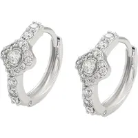 NAEMI Oorbellen zilver / transparant