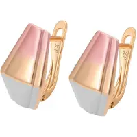 NAEMI Oorbellen goud / rose-goud