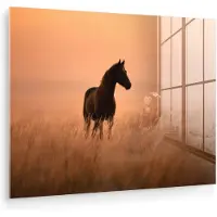 MuchoWow Glasschilderij 160x120 cm - Schilderij acrylglas - Paard - Grasveld - Zonsondergang - Foto op glas - Muurdecoratie woonkamer - Wanddecoratie slaapkamer - Schilderijen