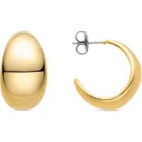Luxenter Oorbellen 'PENDIENTES 'ELFAY'' goud