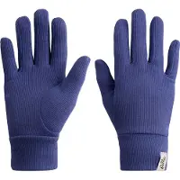 Odlo Active Warm Eco Handschoenen Blauw XS Jongen