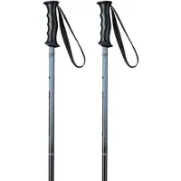Elan Rockrod Junior Stokken Zilver 90 cm Kinderen