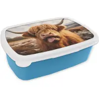 MuchoWow Broodtrommel Blauw - Lunchbox Schotse hooglander - Tong - Hoorns - Brooddoos 18x12x6 cm - Brood lunch box - Broodtrommels voor kinderen en volwassenen