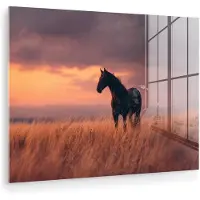 MuchoWow Glasschilderij 120x90 cm - Schilderij acrylglas - Paard - Wolken - Open veld - Foto op glas - Muurdecoratie woonkamer - Wanddecoratie slaapkamer - Schilderijen