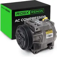 RIDEX 447K0379R Aircopomp