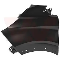 VAN WEZEL 1916655 Spatbord