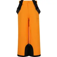 ZigZag - Kid's Provo Ski Pants W-Pro 10.000 - Skibroek 98/104, oranje