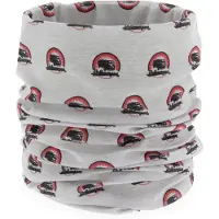 Brisa VW Collection - Volkswagen unisex buisvormige sjaal-bandana-halssjaal-stormkap-multifunctionele mond-neusbescherming T1 Bulli Bus (multicolor)