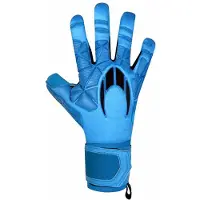 Ho Soccer Ssg Legend Ergo Gecko Goalkeeper Gloves Blauw 7.5