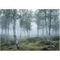 WALLARENA - Fotobehang - 350x250 cm - 3D natuur met mist voor slaapkamer en salon