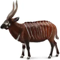 Collecta Figurine - Bongo - (XL)