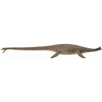 Collecta Deluxe Thalassomedon 1:40 Figure Bruin 3-6 Years Kinderen