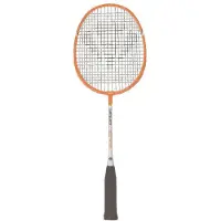 Carlton Badmintonracket Carlton Mini-Blade Iso 4.3 2017 (Bespannen)