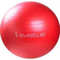 SVELTUS Gymball boîte 65cm