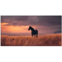 PosterMonkey Poster 150x75 cm - Paard - Wolken - Open veld - Posters - Kamer decoratie - Wanddecoratie woonkamer - Muurdecoratie slaapkamer
