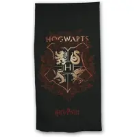 Harry Potter strandlaken microfiber