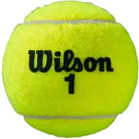 Wilson Roland Garros All Court Tennisballen - 4 can - 2 Blikken