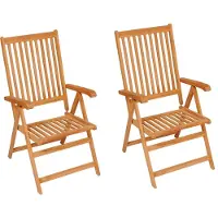 vidaXL Klapstoelen, 2 stuks, met grijze kussens, gemaakt van massief teakhout