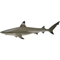 Collecta Zeedieren (M): ZWARTPUNTRIFHAAI 11.4x3.3cm
