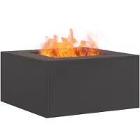 vidaXL Vuurkom Zwart 60 x 60 x 30 cm weervast staal