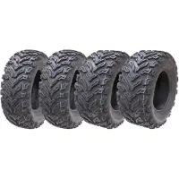 Parnells 25x10.00-12 &amp; 25x8.00-12 Quad ATV Banden 6ply Wanda E-Marked Legal (Set van 2 &amp;2)