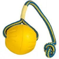 Starmark swing 'n fling durafoam fetch bal aan koord Large 9 cm