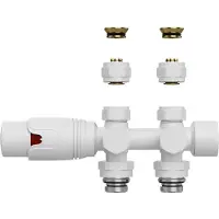 Boss & Wessing Radiatorkraan bws thermostatisch muur- en vloeraansluiting 1/2mx16/2 m30 mat wit