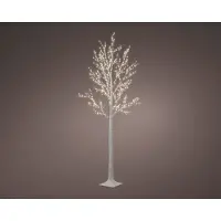 Molecule KAEMINGK verlichte berkboom met 750 LEDs voor buiten 220cm