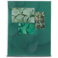 Hama Inschuif album - Singo II - 10x15 - 80 pagina's - Leaves