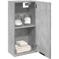 vidaXL Wandbadkast, betonkleur, 32x20x67 cm